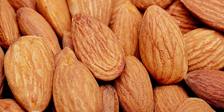 Renewable America builds 1.9-MW solar portfolio for California nut company