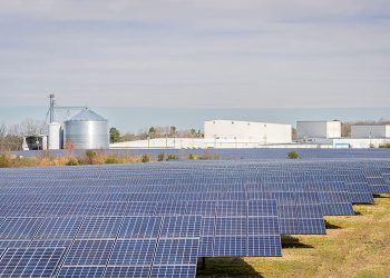 Solar occupies less than 1% of US farmland
