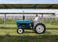 Center for Rural Affairs publishes tax policy guide for agrivoltaics