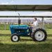 Center for Rural Affairs publishes tax policy guide for agrivoltaics