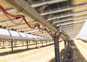 Descartes Underwriting offers wind insurance through Nextpower project network