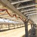 Descartes Underwriting offers wind insurance through Nextpower project network