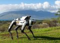 Asylon DroneDog pitched as physical security for large solar sites