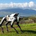 Asylon DroneDog pitched as physical security for large solar sites