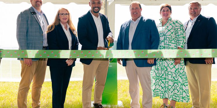 Georgia Power pairs 49.5-MW storage facility with existing solar project