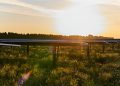 Private equity firm acquiring EDF’s North American renewables business