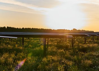 Private equity firm acquiring EDF’s North American renewables business