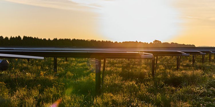 Private equity firm acquiring EDF’s North American renewables business