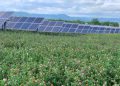 Pennsylvania passes law establishing solar decommissioning plans