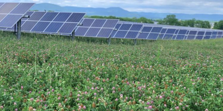 Pennsylvania passes law establishing solar decommissioning plans