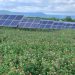 Pennsylvania passes law establishing solar decommissioning plans