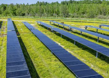 Meta signs PPA for 172 MW of Louisiana solar