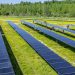 Meta signs PPA for 172 MW of Louisiana solar